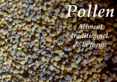 Pollen en pelotes LUNE DE MIEL : le pot de 250 g à Prix Carrefour